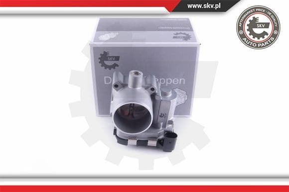 Throttle Body 12SKV087