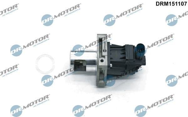 EGR Valve DRM151107