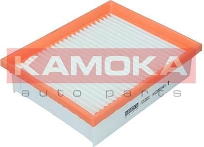 Air Filter F253801