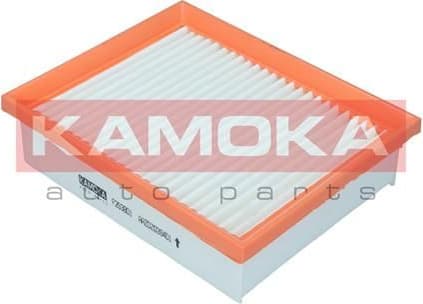 Air Filter F253801 - image 2