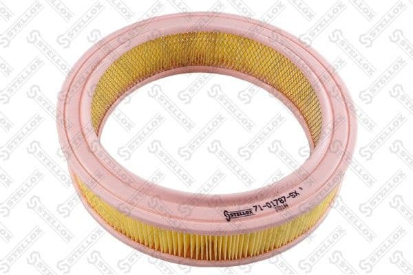 Air Filter 71-01787-SX