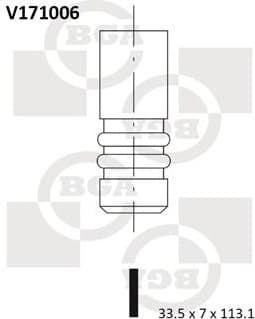 Intake Valve V171006