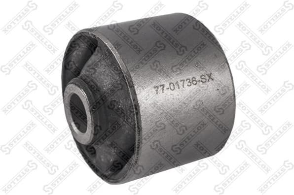 Mounting, transfer case 77-01736-SX