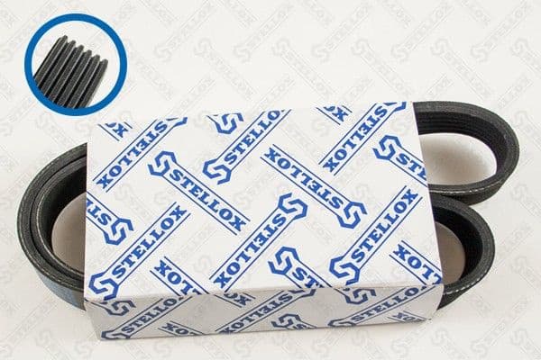 V-ribbed Belt 06-00906-SX