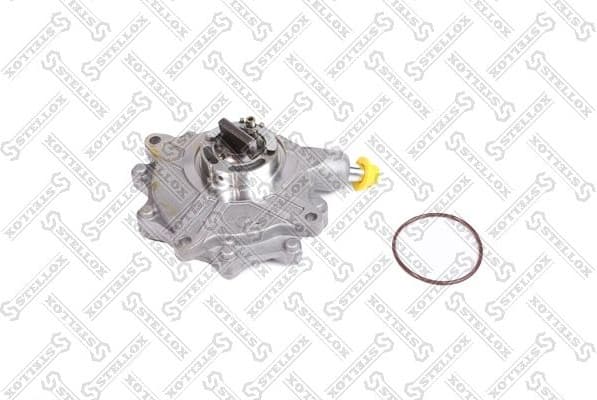 Vacuum Pump, braking system 10-02501-SX