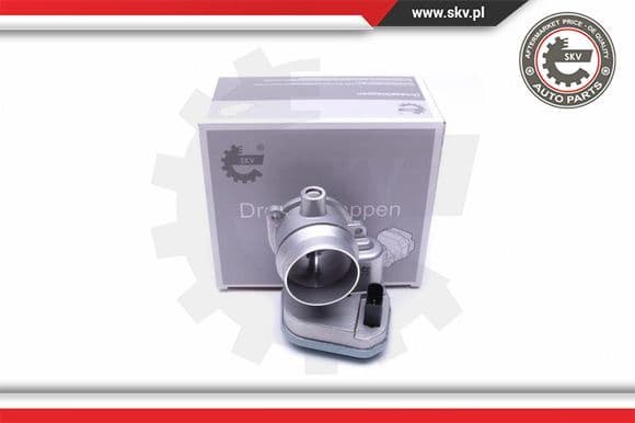 Throttle Body 12SKV094