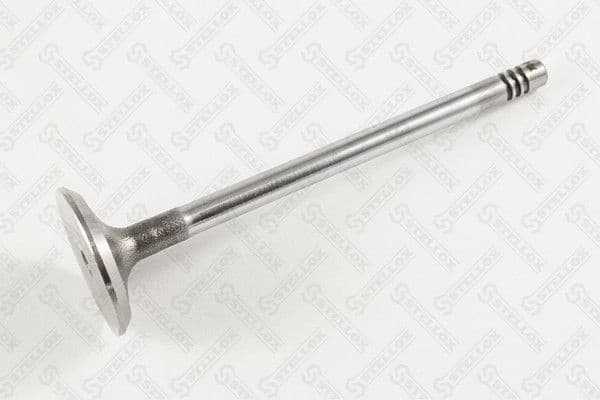 Intake Valve 01-24352-SX