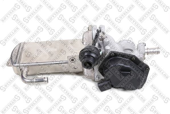 EGR Valve 01-25229-SX
