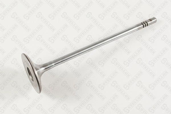 Intake Valve 01-24355-SX