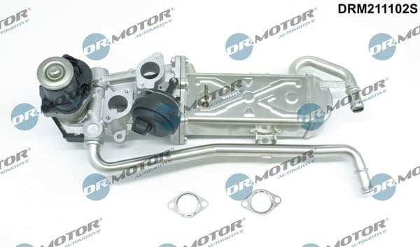EGR Valve DRM211102S
