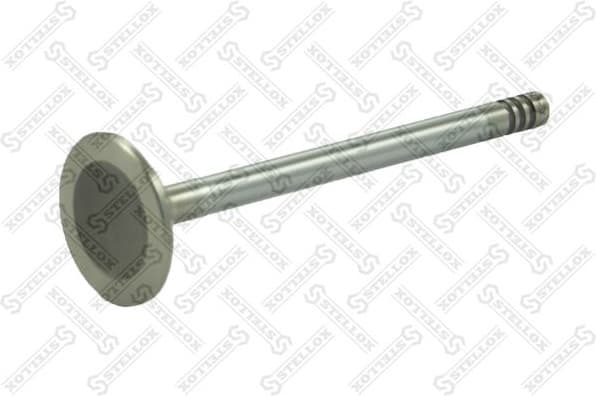 Intake Valve 01-23023-SX