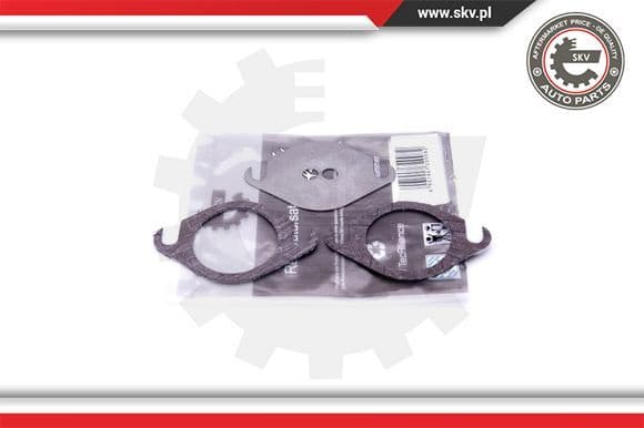 Repair Set, EGR valve 14SKV503