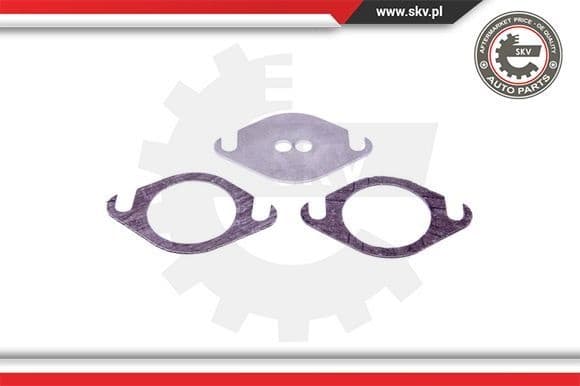 Repair Set, EGR valve 14SKV503 - image 2