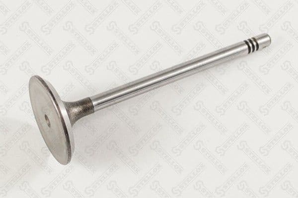 Intake Valve 01-24368-SX