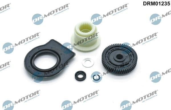 Repair Kit, transmission output shaft (AMT) DRM01235