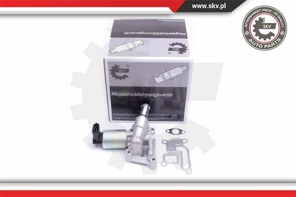 EGR Valve 14SKV207