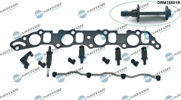 Repair Kit, intake manifold module DRM18801R