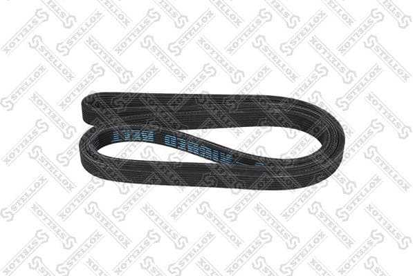 V-ribbed Belt 97-01884-SX