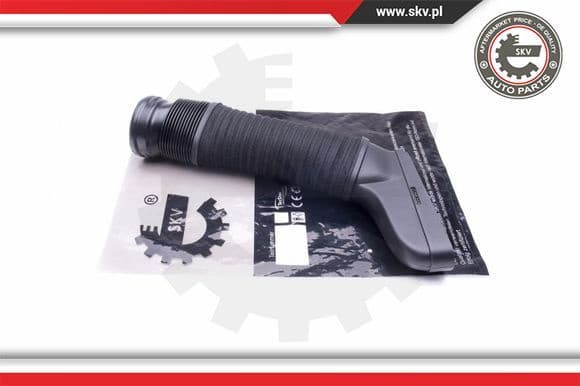 Intake Hose, air filter 43SKV905
