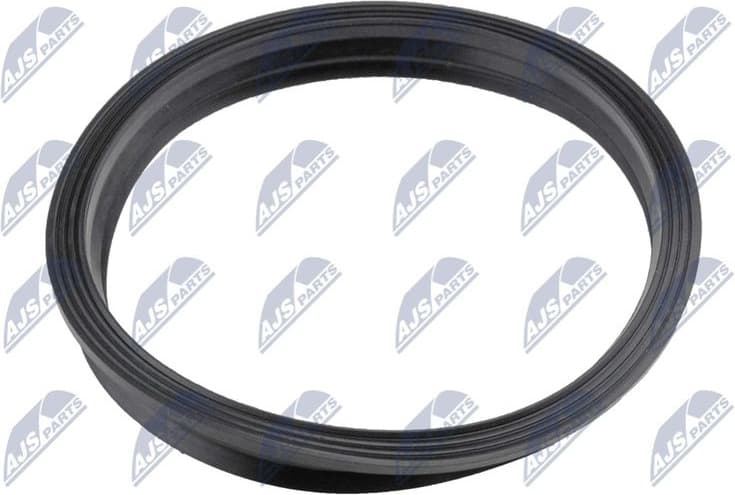 Gasket, fuel pump BPP-VW-005