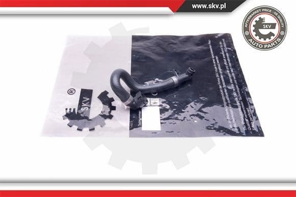 Radiator Hose 43SKV629