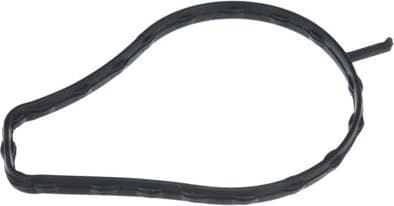 Water Pump, engine cooling 529521