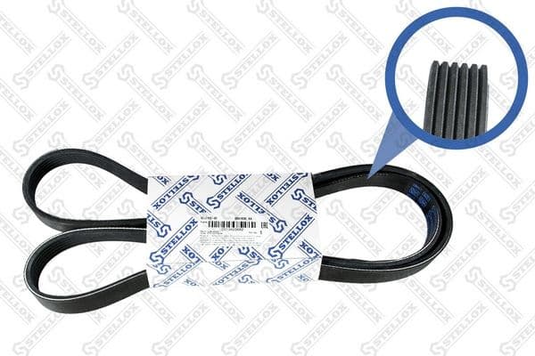 V-ribbed Belt 06-01635-SX