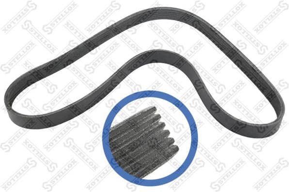 V-ribbed Belt 06-01019-SX