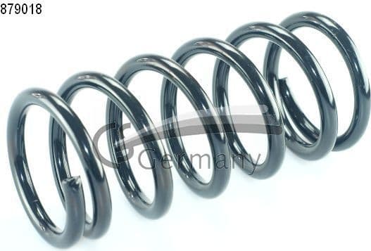 Suspension Spring 14879018