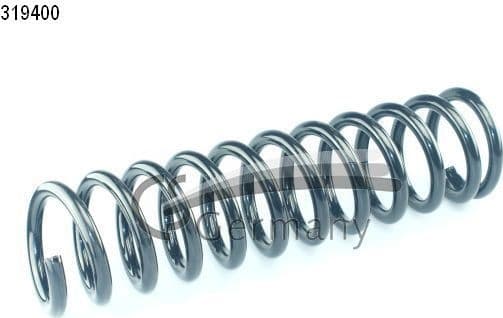 Suspension Spring 14319400