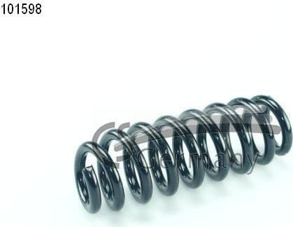 Suspension Spring 14101598