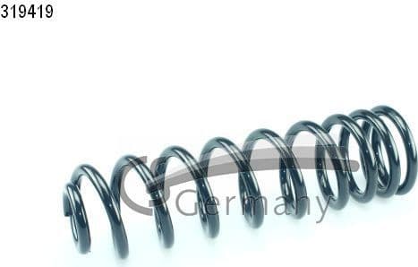 Suspension Spring 14319419