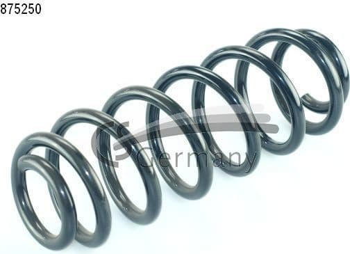 Suspension Spring 14875250