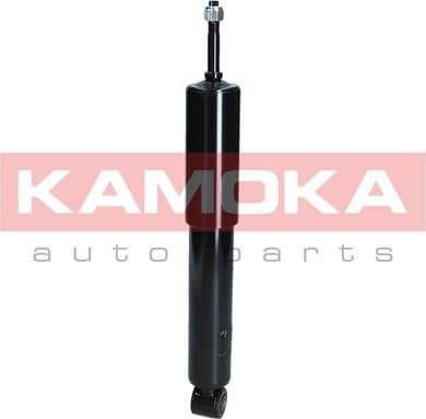 Shock Absorber 2001031
