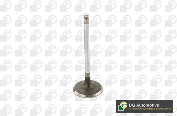 Intake Valve V912002