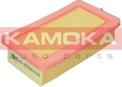 Air Filter F249201