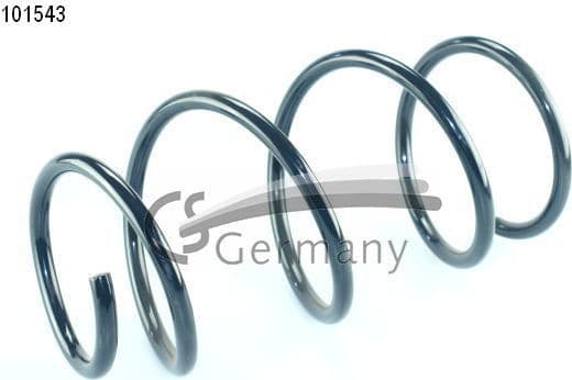 Suspension Spring 14101543