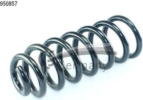Suspension Spring 14950857
