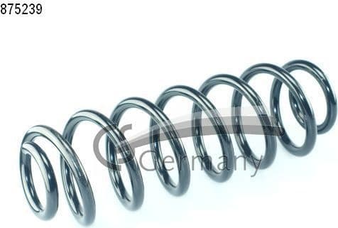 Suspension Spring 14875239