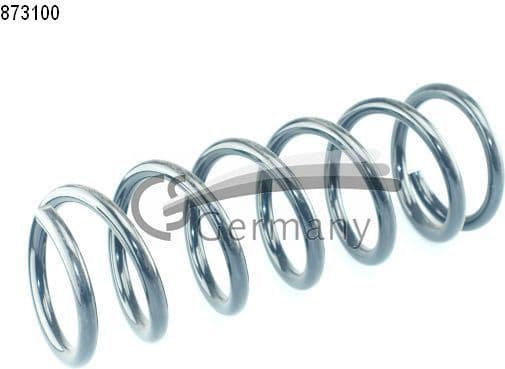 Suspension Spring 14873100