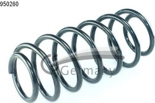Suspension Spring 14950260
