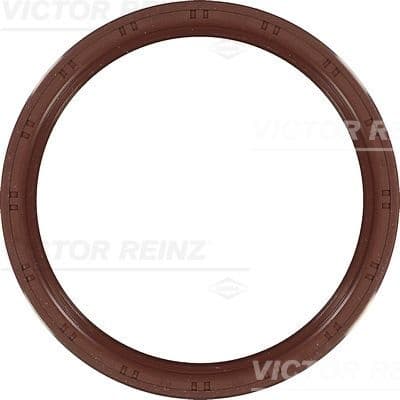 Shaft Seal, crankshaft 81-53344-10