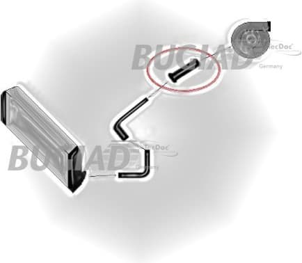 Charge Air Hose 81900