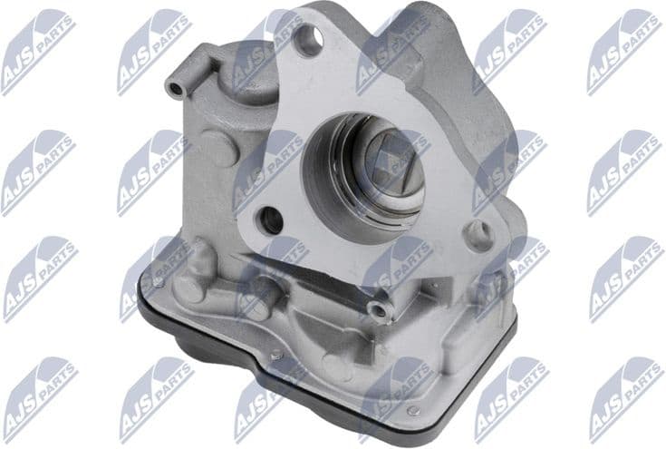 EGR Valve EGR-RE-019