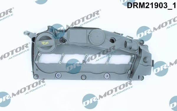 Cylinder Head Cover DRM21903