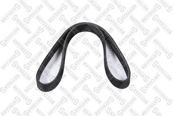 V-ribbed Belt 06-00800-SX