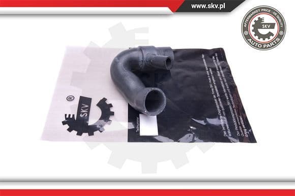 Charge Air Hose 43SKV418