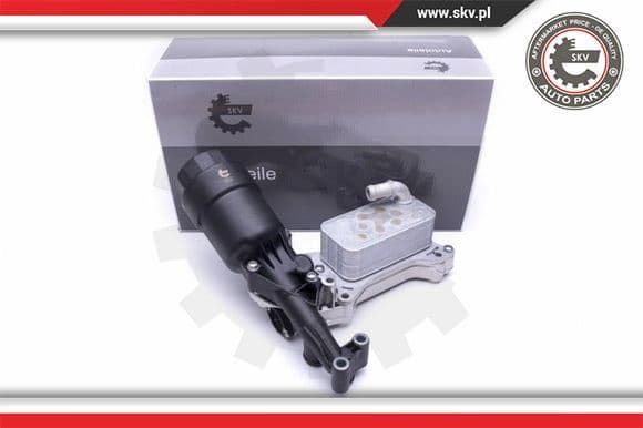 Oil Cooler, engine oil 31SKV171