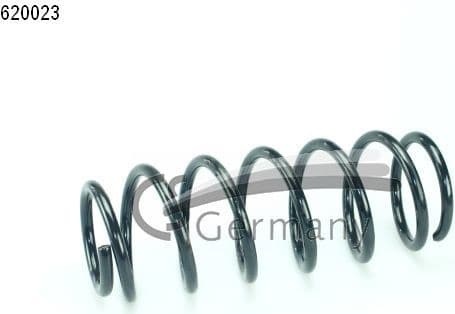 Suspension Spring 14620023