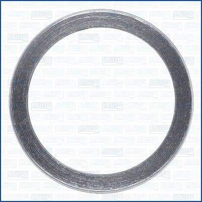 Seal Ring, exhaust pipe 19007400